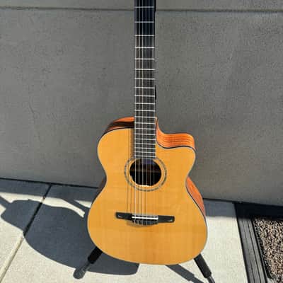 Cort Gold OC8 Nylon/Electric 2010 - natural gloss image 1