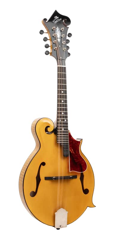 Gold Tone Grandmaster Elite Old Swiss/Italian Spruce Top 8-String Mandolin w/Hard Case image 1