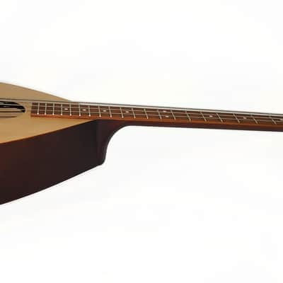 Original New Ukrainian Bass Guitar 4 Strings Folk Kobza Lute Wooden Quality Musical Instrument Trembita Powerful Sound! image 9