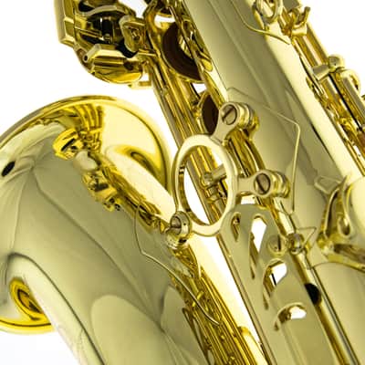 Selmer Axos Alto Saxophone image 13