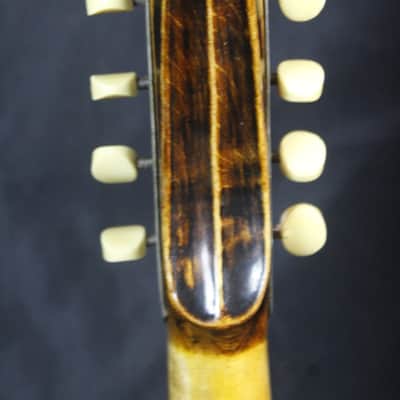 Vintage John Brandt Style C Bowlback Mandolin c1900 image 14