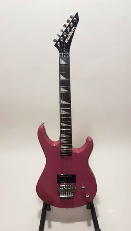 Washburn G-2V