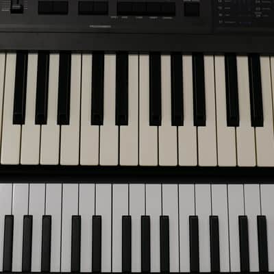 KORG DW-8000 + Case image 23