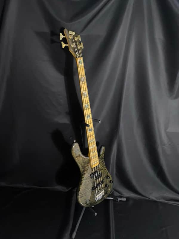 ESP custom image 1