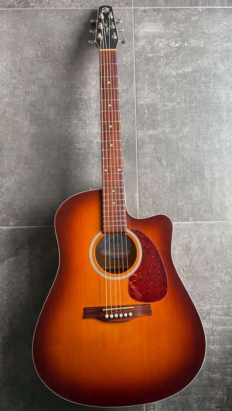 Seagull Entourage ca. 2015 - Rustic – Made in Canada – Frisch vom Setup & Neue Saiten – Inkl. Koffer image 1