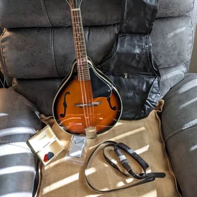 Harmony Monterey H410 Mandolin 1960's Faux Stripe | Reverb