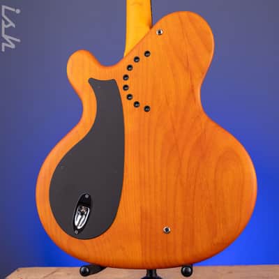 2021 Ritter Princess Isabella Bass Orange Honey image 8
