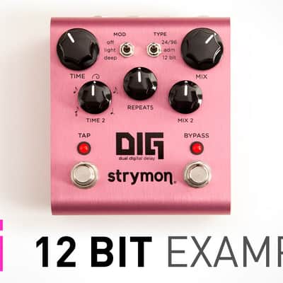 Strymon Dig image 10