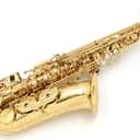 YANAGISAWA Alto Saxophone A-WO10 [00340668] (03/16)