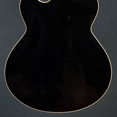 Fender Used D'Aquisto Standard '85 image 4