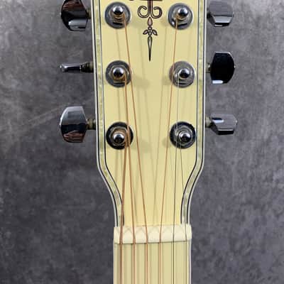 Esteban VL-200 Acoustic/Electric Prototype 2009 image 5