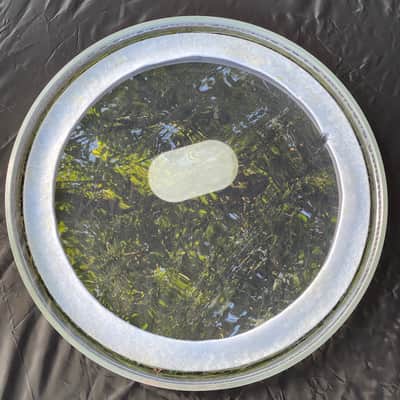 Aquarian SKII24-U 24" Super Kick II Bass Drum Head 2010s - Clear image 5