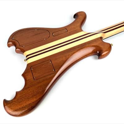 Alembic Dragon Wing 2018 - Gloss Natural image 4