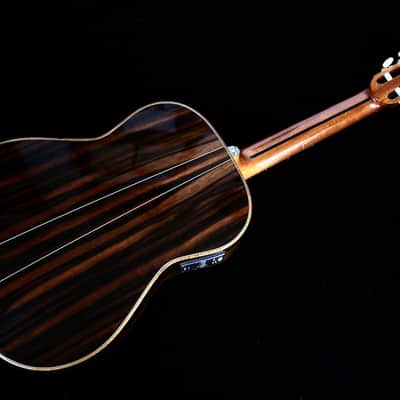Custom Pegasus Guitar / Ukulelefriend.com image 2