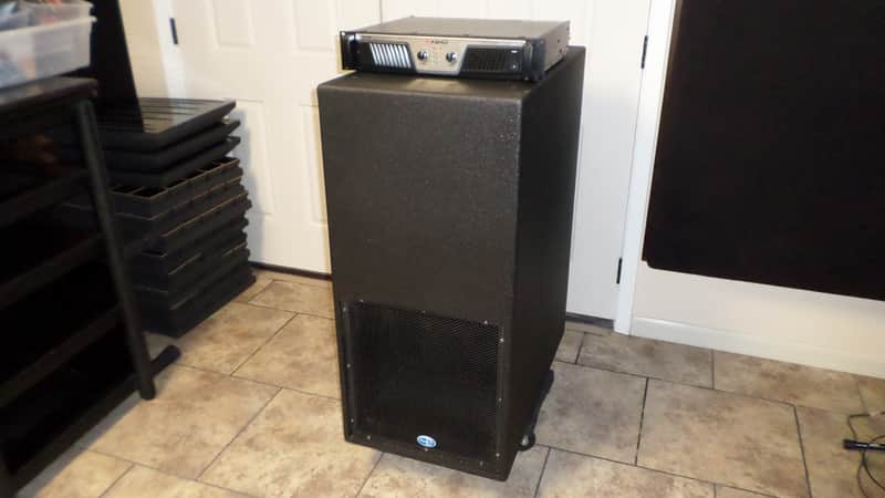 Danley Sound Labs TH112 Sub with Ashly KLR2000 amp - PRICE REDUCED! image 1