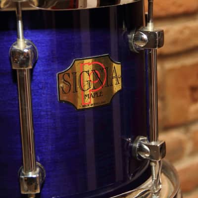 Premier  Signia Drum Set 5pc image 10