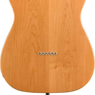 Squier Classic Vibe '70s Telecaster Thinline Maple Fingerboard Natural image 3