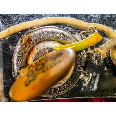 1964 Fender Mustang 22.5" L Series image 10