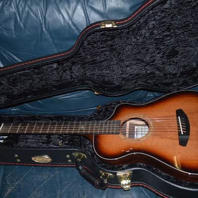 Breedlove Premier Companion Edgeburst CE 2024 - Edgeburst image 2