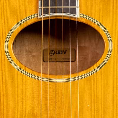 Daion The Year Series '81 Caribou - Tinted Tan (TAN) - Electric Acoustic Six String image 4
