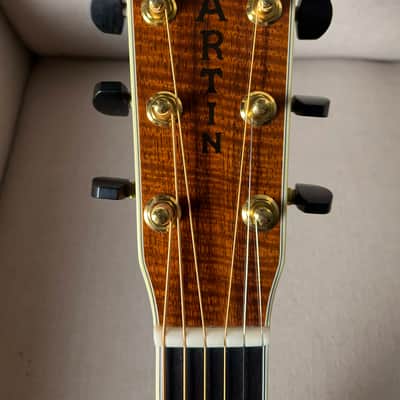 Martin Trey Anastasio Signature Edition DC Fishman Ellipse image 12