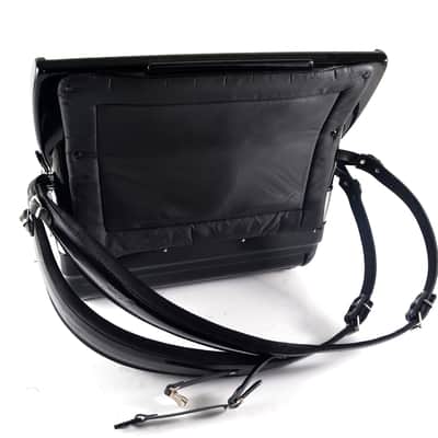 Immagine S.E.M Recanati “Piermaria Classique” Cassotto Accordion 120 Bass (41 Keys, LMMM) – Case, Brand New Straps, Musette – Certified + Video - 12