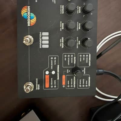 Hologram Electronics Microcosm | Reverb