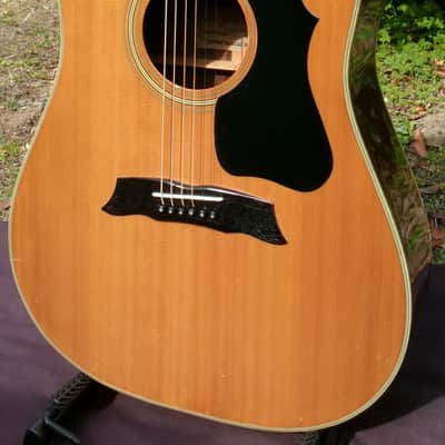 Morris MG-60 1977 Natural - Made in Japan - Solid Spruce Top image 2