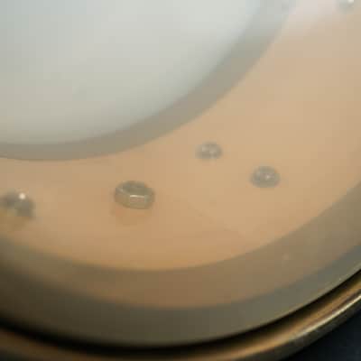 DW Curly Maple Series Edge 6x13" Snare Drum image 9