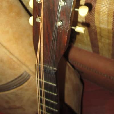 ~1920s SS Stewart Mandolin Natural image 4