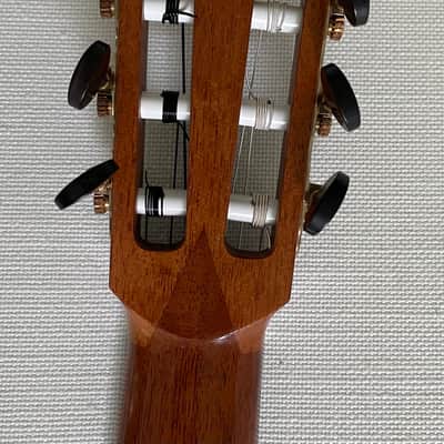 Greg Gregory Byers Lattice Braced 2016 - French Polish image 7