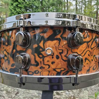 Mapex Orion 2008 - Chocolate Burl image 8