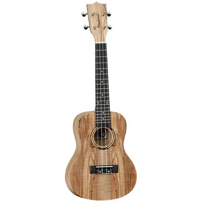 Immagine Tanglewood TWT 10 Concert Ukulele, Natural Satin W/Gig Bag - 2