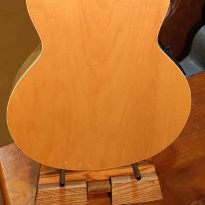 Washburn EA-2000 1999 - Natural image 16