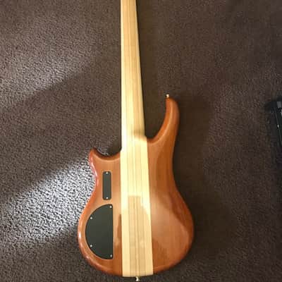 Immagine Alembic Essence 5 string - 6