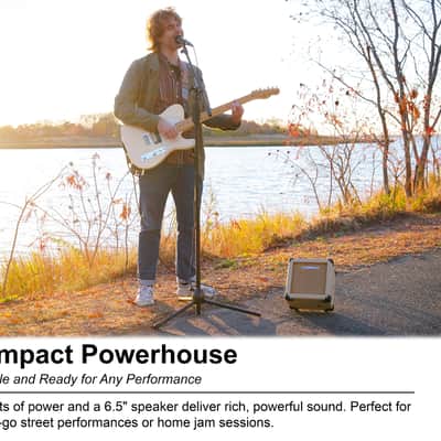 Rockville G-CHARGE 20 BEIGE Rechargeable Guitar Amplifier Spring Reverb+Mic Input image 2