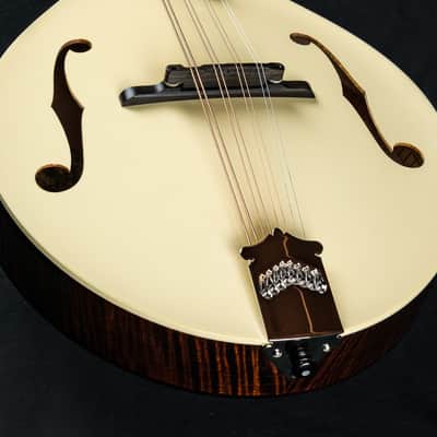 Collings MT Mandola Cream Gloss Top Adirondack Spruce and Flamed Maple NEW image 14