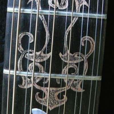 BLUEBERRY 12 String Cutaway   SATAN 2013 Natural image 16