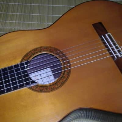 Jose Morales classical guitar image 1