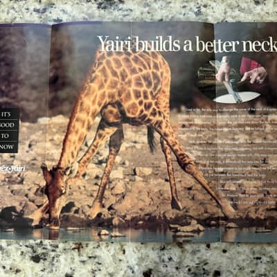 Alvarez Yairi Brochure 90s DY72 DY62 DY61 AY20 image 7