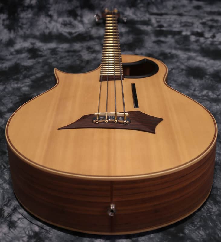 Warwick Alien Acoustic Bass Left Handed image 1