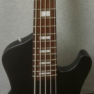 ESP LTD Stream-205 5-String Bass Guitar image 4
