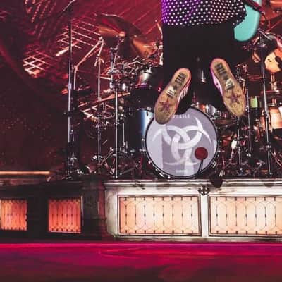 EVANS Anika Nilles / RUSH "Triskelion" 22" Bass Drum Head /w Holz 4” Mic Port  2026 image 7