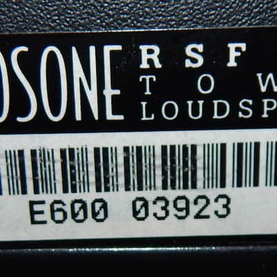 Eosone RSF 600 tower loudspeakers pair image 9