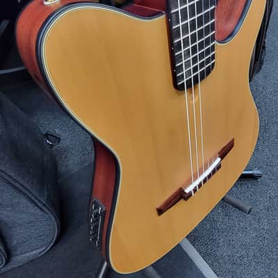 Ibanez FRH10N Slimline Nylon String Guitar w/Electronics. Free Shipping! image 5