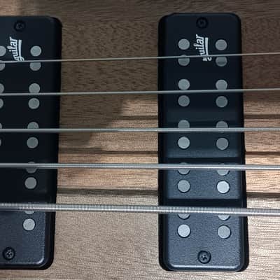 Ibanez SR505E with Aguilar pickups Bild 6