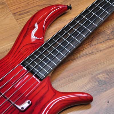 F Bass BN5 Faded Red image 10
