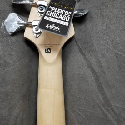 Lakland Skyline DJ-5 Darryl Jones Signature 5-String Lake Placid Blue image 6