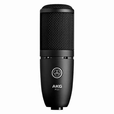 AKG P220 Large Diaphragm Cardioid Condenser Microphone | Reverb