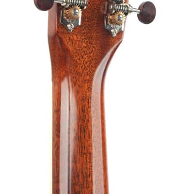 Goodall Traditional OM Palo Escrito Master German Spruce 2023 image 6